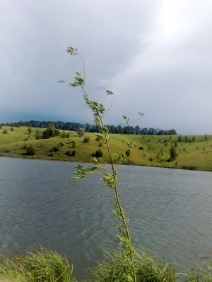 14062009527.jpg