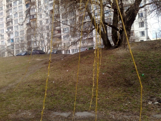 29032009375.jpg