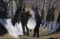 1303292770_belarus-birch-sap-01.jpg